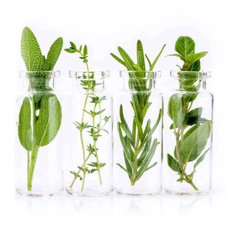 Fűben, fában van az orvosság